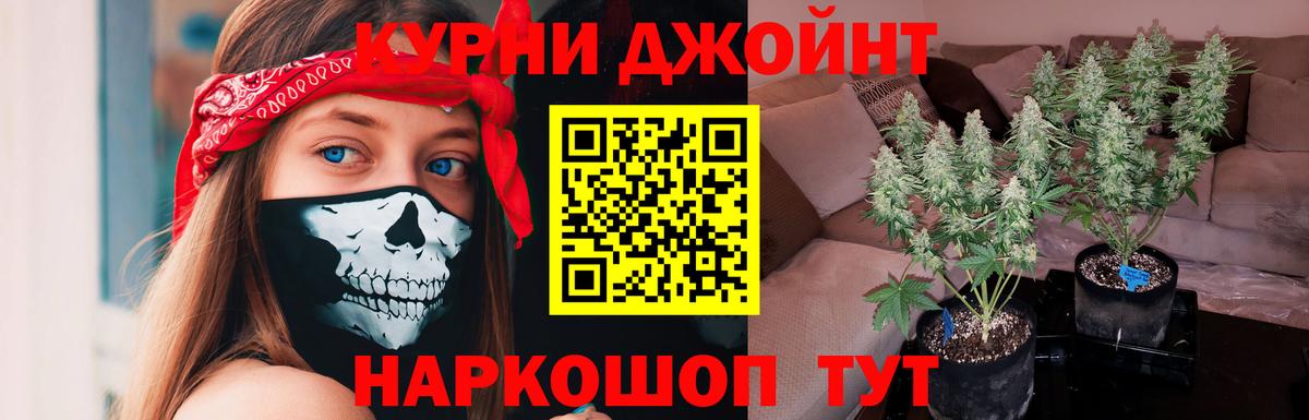 Марихуана SATIVA & INDICA  МАРИХУАНА семена  Вход с VPN  Волжский  Шишки марихуана тримм  Бошки марихуана план 